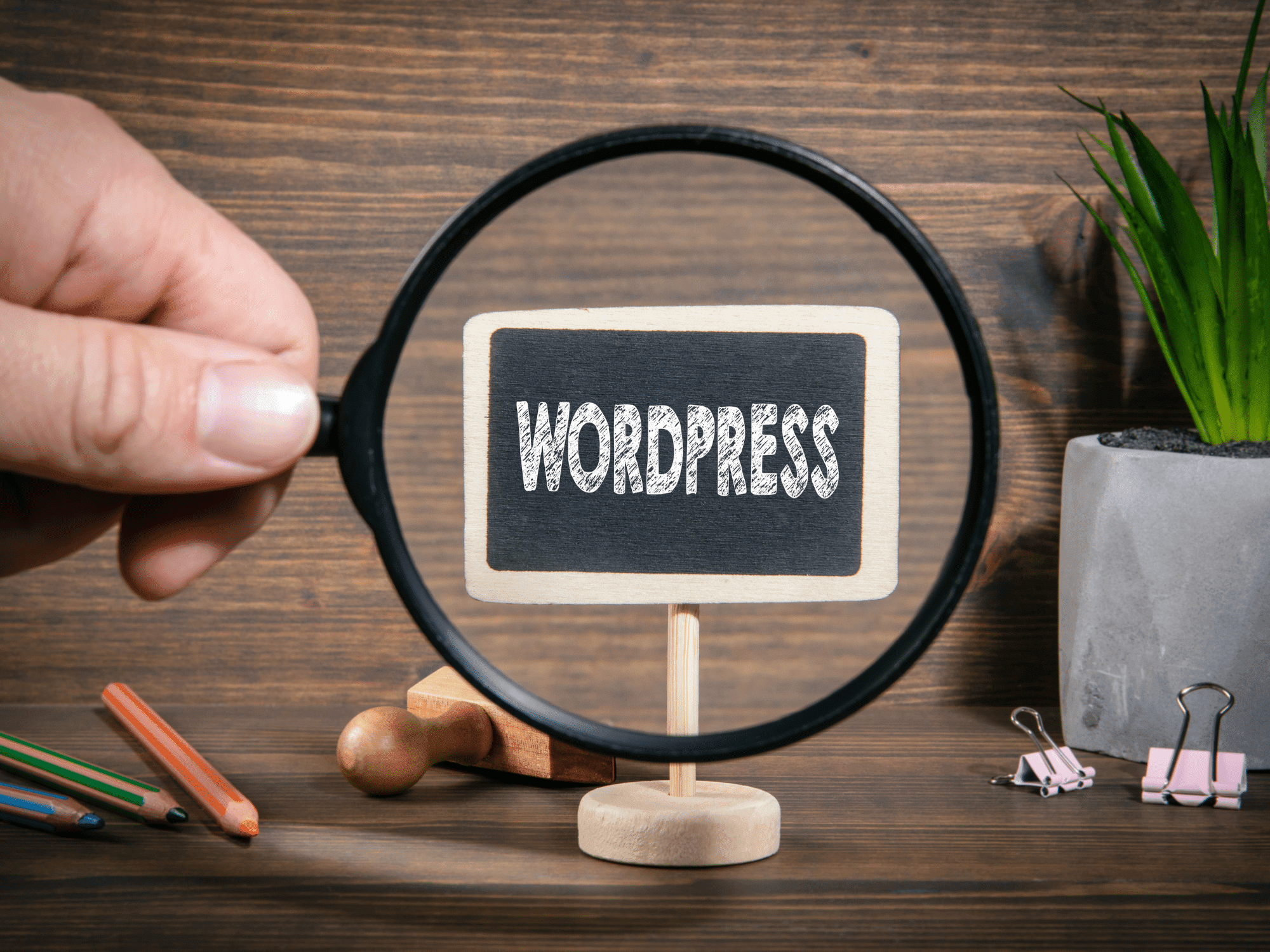 AGENCE Articles seo digital creation sites web 6