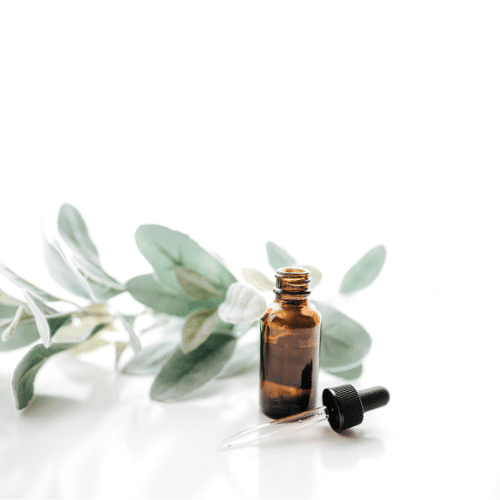 DYNSEO, l'agence web innovante de Toulouse, créant des solutions sur mesure pour vos projets numériques